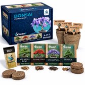 SwanX® Bonsai Starter Kit – 4 Bonsai Zaden (Masson Pine, Flame Tree, Jacaranda, Spruce) – Bonsai Boom Kweekset met Nederlandse Handleiding – Complete Bonsai Kweekset Cadeau