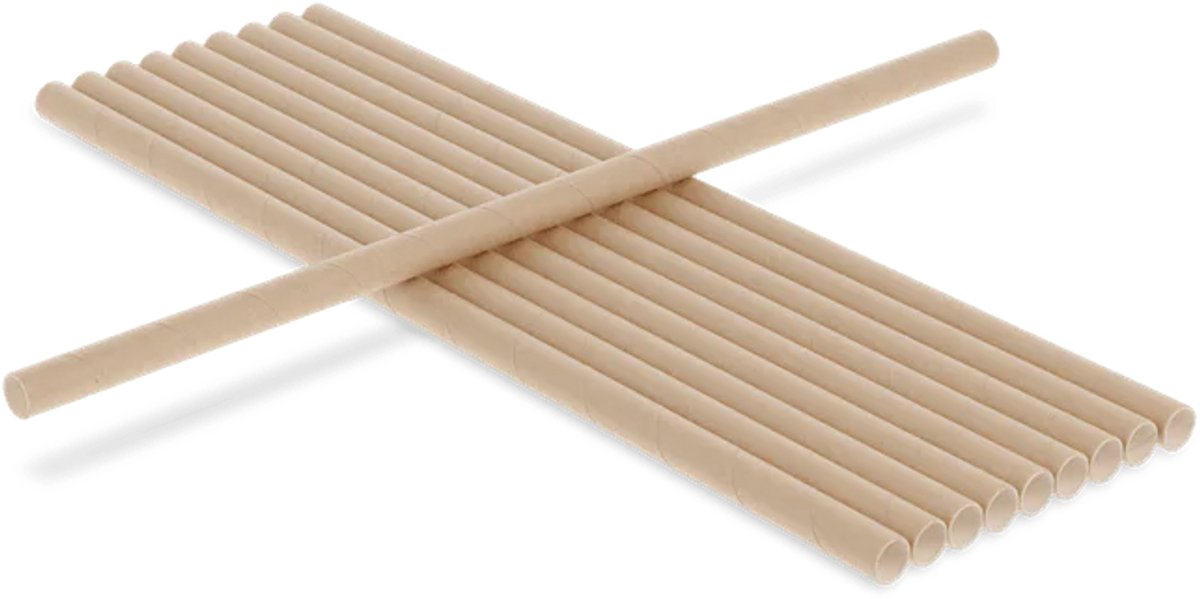 Drinkrietje papier - Naturel - 100 stuks - 23cm - 8mm dia - rietjes