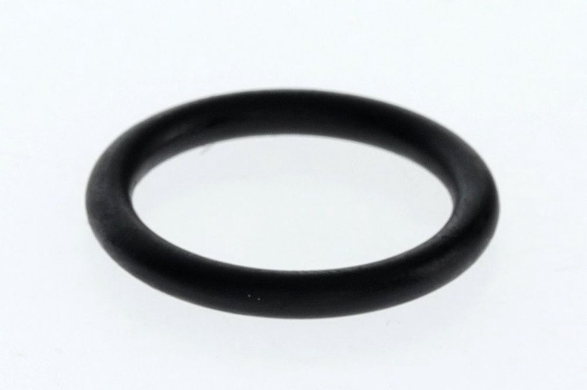 BOSCH O-ring (10x), 87002051360