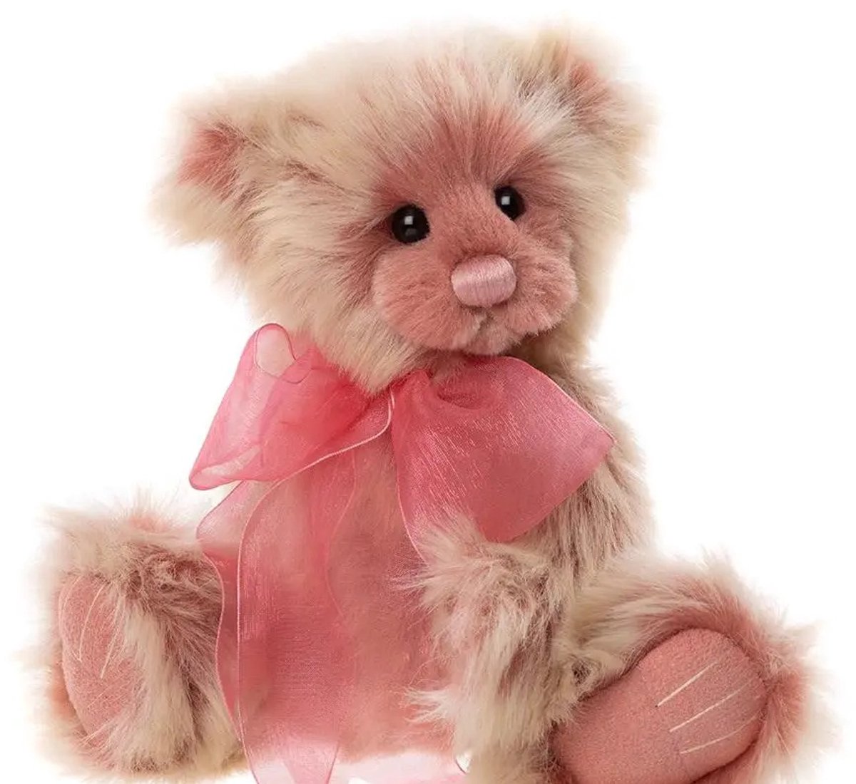Charlie Bears Saterday
