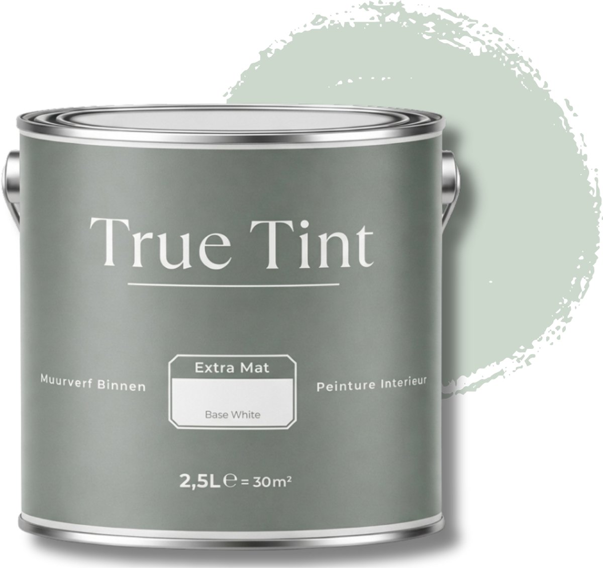 True Tint Muurverf Mat - Mint Mist - 2,5 L - The Natural Harmony Collection - Groene Muurverf - Rendement 30m² - Mintgroene Matte Muurverf - Rustige Natuurlijke Verftint - Mengverf