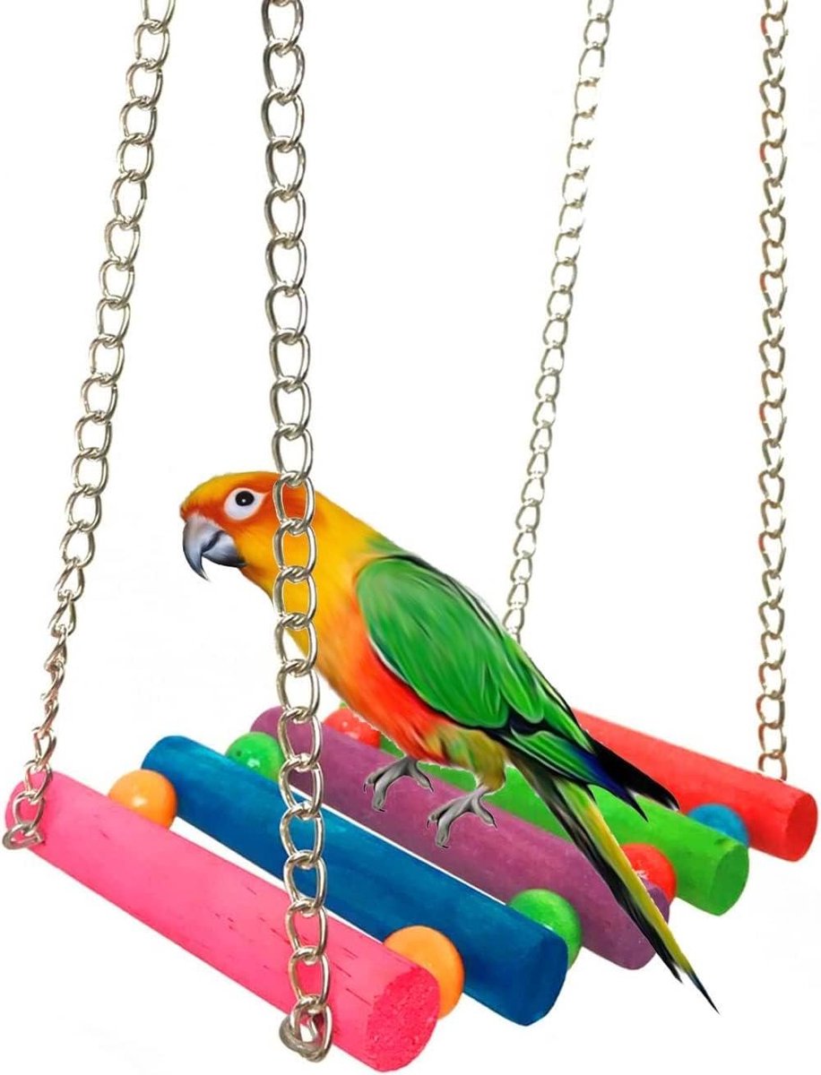 Vogel Speelgoed - Vogelkooi Accessoires - Vogels Vermaken - Handgemaakt Veilig Materiaal - Regenboog