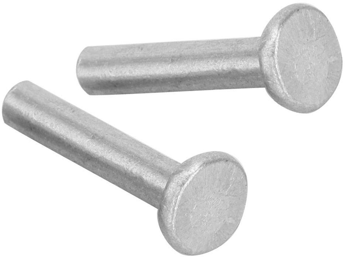 Dailygoods - Aluminium Klinknagel Set - 100 Stuks - M4 Plat Kop - Voor Installatie en Montage - Hoogwaardige Corrosiebestendigheid - Voor Diverse Toep