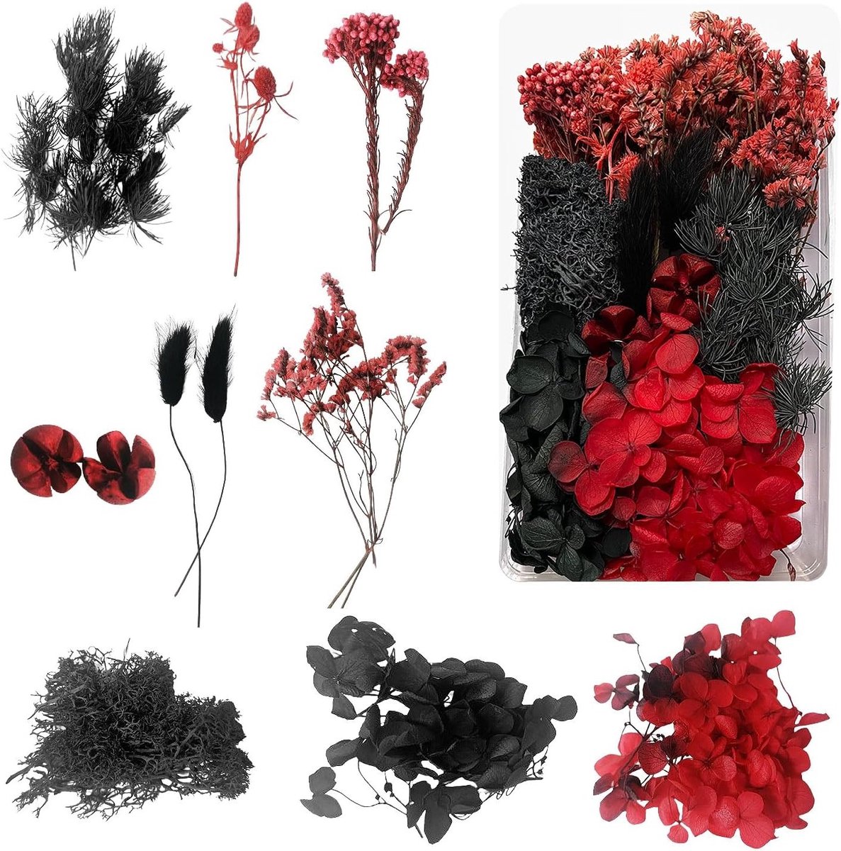 Decoratieve gedroogde bloemen voor hars, kaarsen en epoxyhars - Perfect voor handwerk en scrapbooking