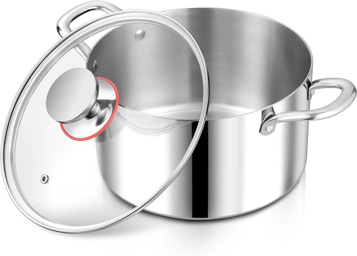 Stainless Steel Kookpan met Glazen Deksel 22 cm - Gezonde Ongecoate Soep- en Vleespan, Ovenbestendig en Geschikt voor Inductie koken