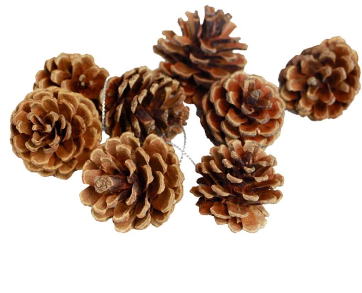 Dailygoods - Dailygoody - Natuurlijke dennenappels - Kerstboomdecoraties - Unieke slinger - Bruin - Vaas vulling - Perfect voor kerst en Thanksgiving - 24 stuks