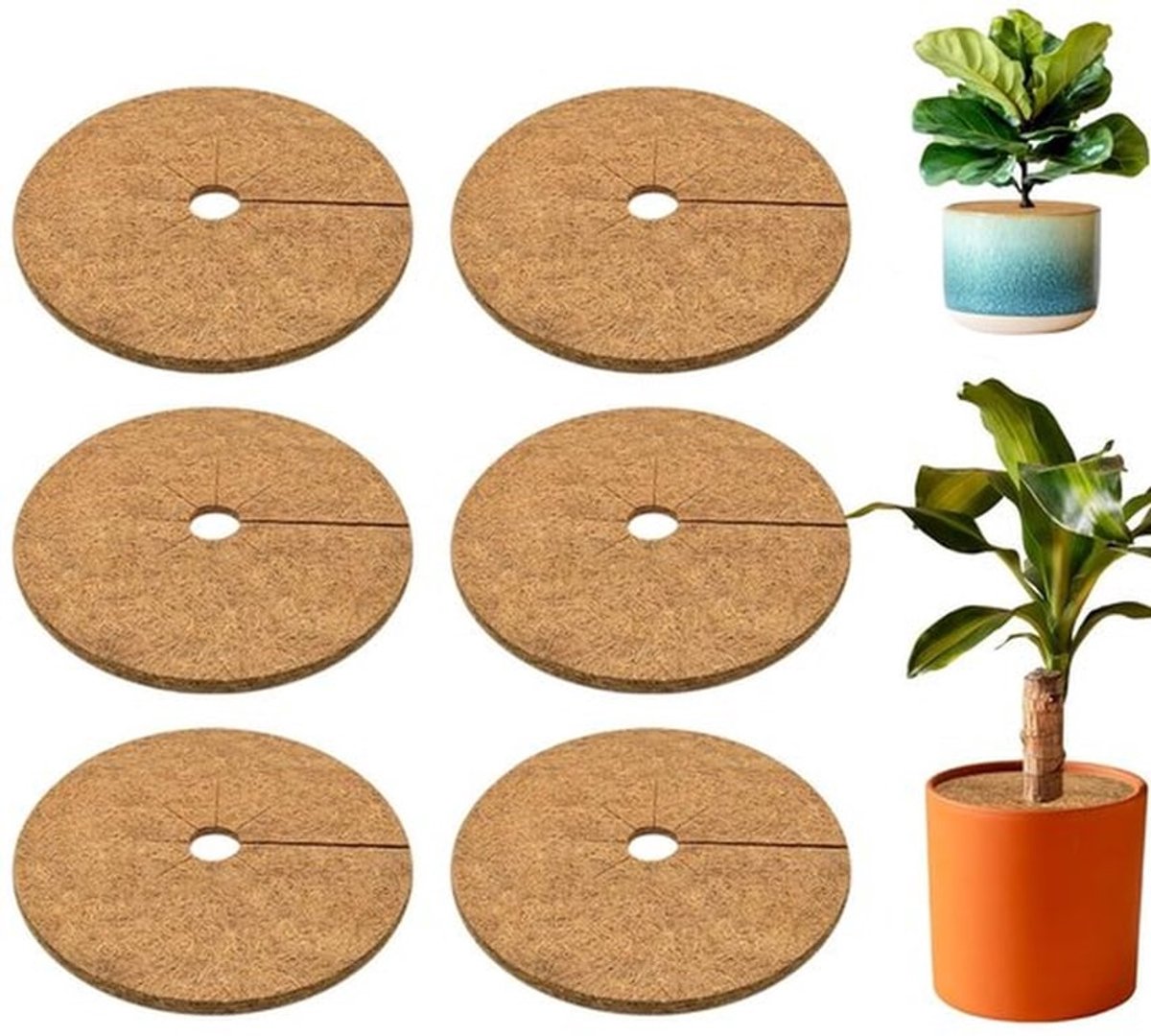 6 stuks - Kokosvezel mulchringen - Ademende boommulchmatten - Winter plantbeschermingsmulchmatten - Kokosvezel mulchringen - Schijfboommatten - Stevige en duurzame mulchringen - Geschikt voor binnen- en buitenbomen en planten (bruin)