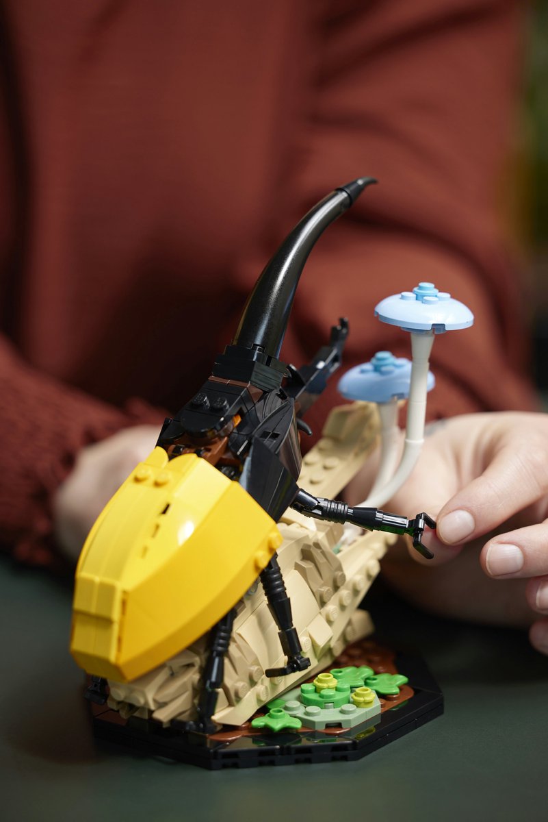 LEGO Ideas De Insectencollectie - 21342 – foto 6