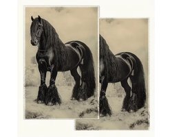 @ Lu’s Today™ – Home Essentials – Keukendoeken – Set van 2 – 40.64×60.96 cm – Friese Paard Keukenhanddoeken – Enkelzijdige 2D Print – Fade‑Resistent Microvezel – Sneldrogend & Machinewasbaar
