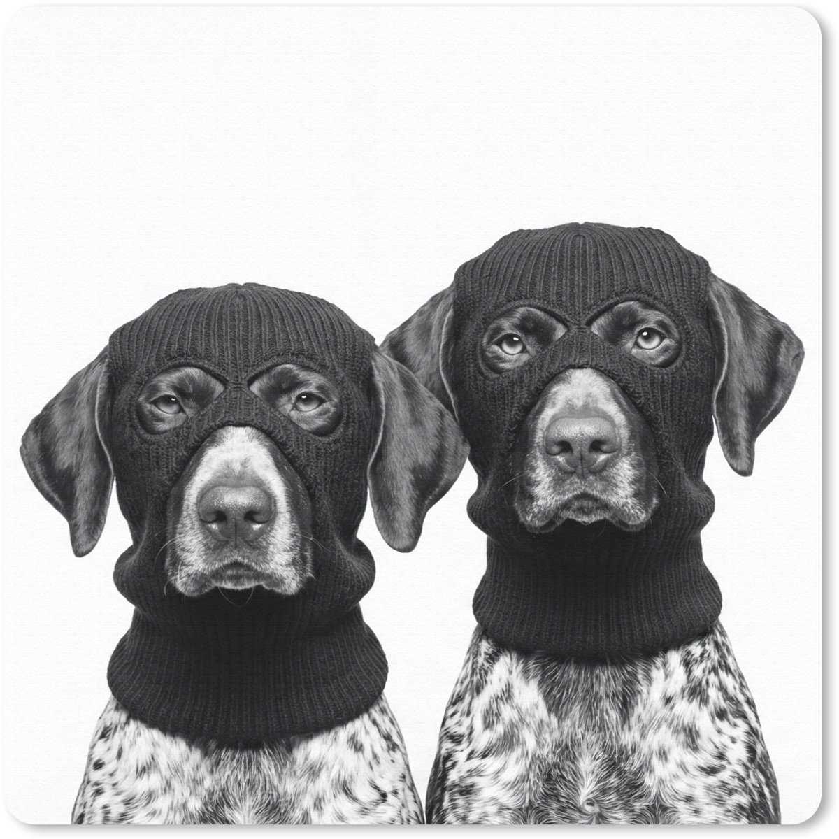 Muismat 20x20 cm - Mousepad Honden - Bivakmuts - Zwart - wit - Muismatten