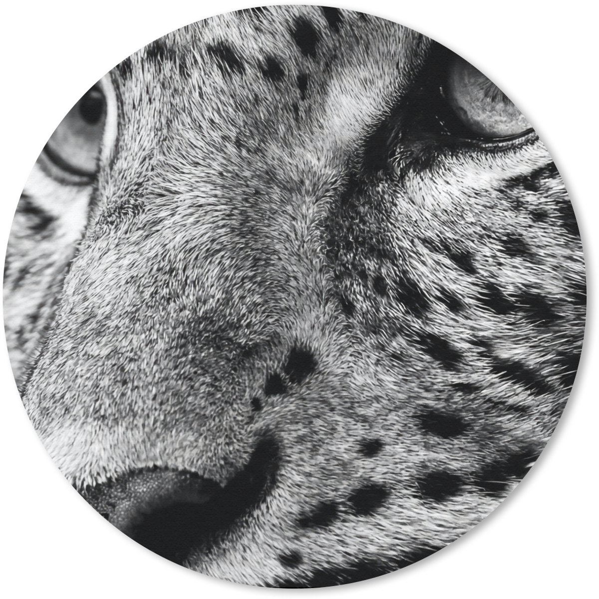 Muismat rond 20x20 cm - Mousepad Luipaard - Zwart - Wit - Oog - Ronde muismatten