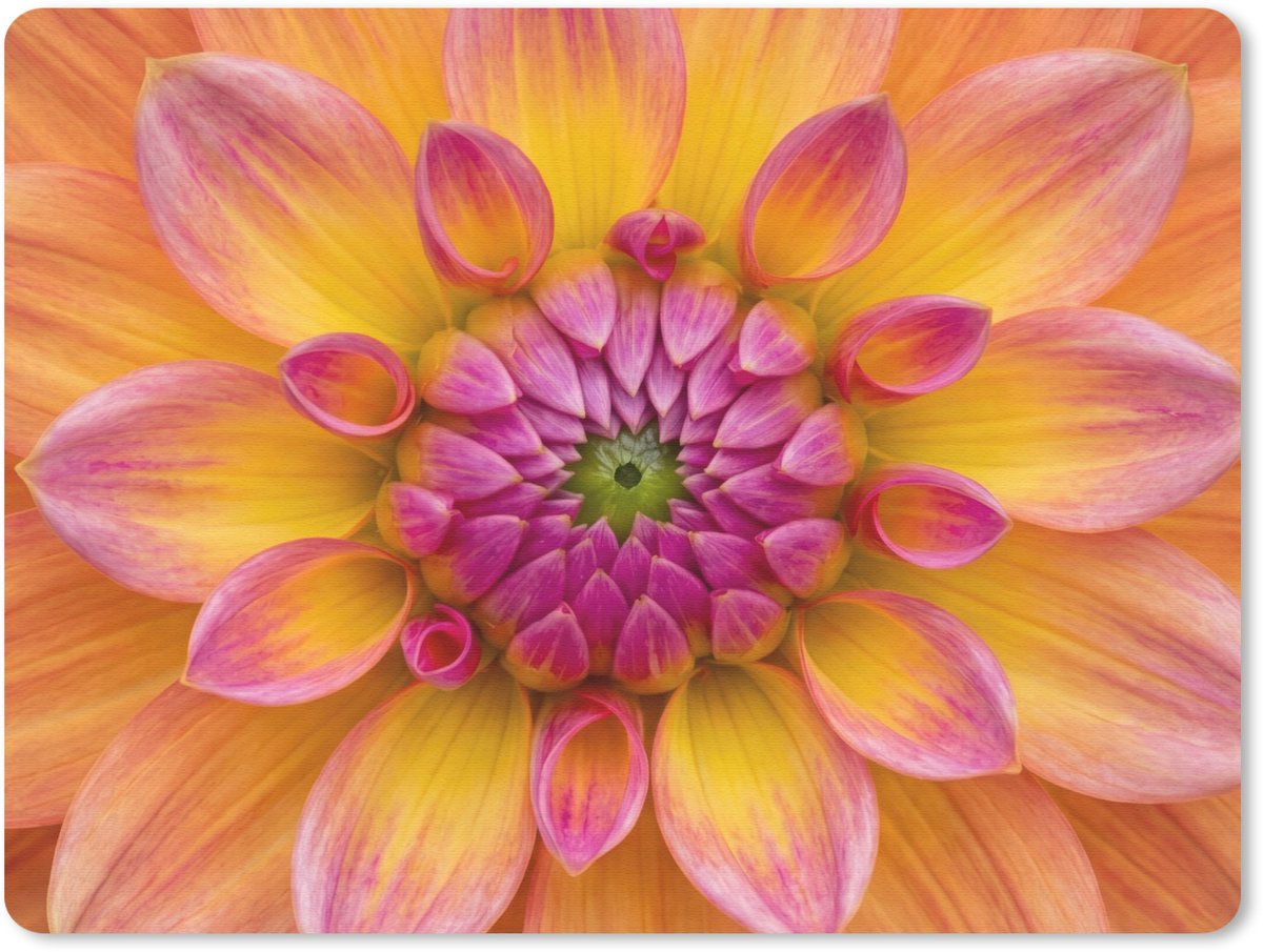 Muismat 12x10 cm - Mousepad Dahlia - Bloem - Oranje - Muismatten