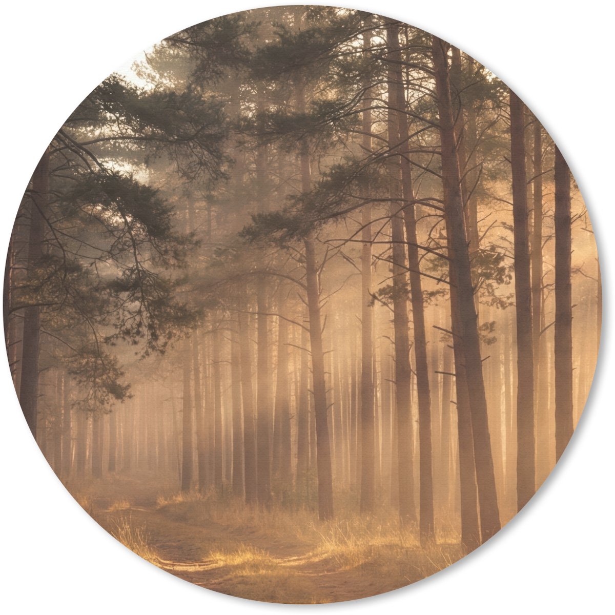 Muismat rond 20x20 cm - Mousepad Bos - Mist - Zonlicht - Ronde muismatten