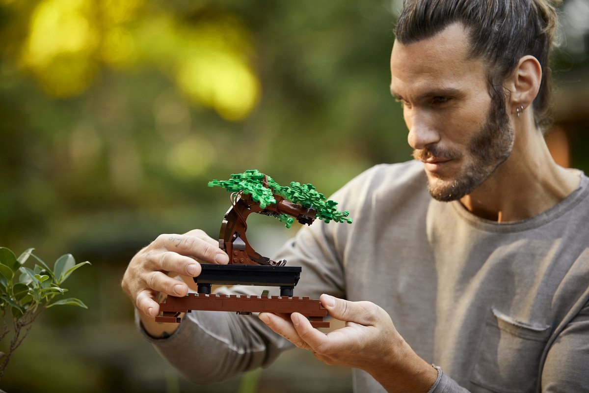 LEGO Botanicals Bonsaiboompje Bouwpakket - 10281 — afbeelding 26