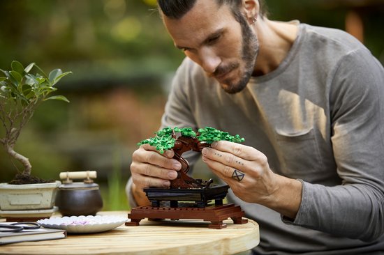 Man met donker haar houdt een LEGO Bonsaiboompje vast, buiten, met een tuin op de achtergrond.