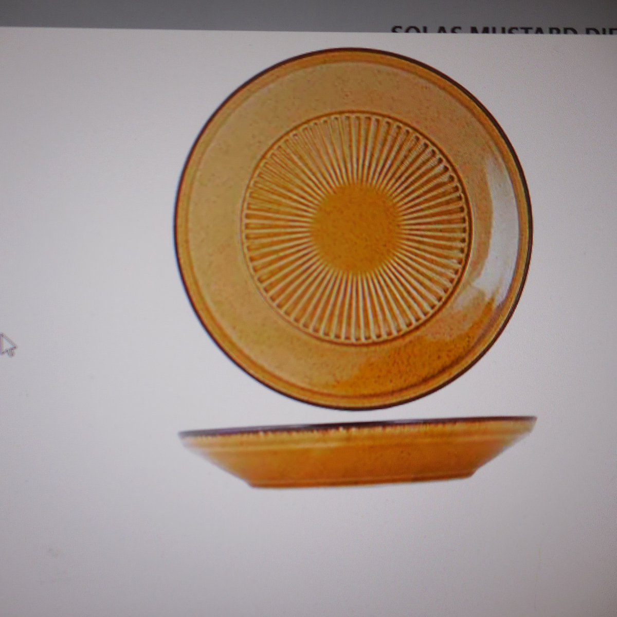 SOLAS MUSTARD DIEP BORD D24CM
