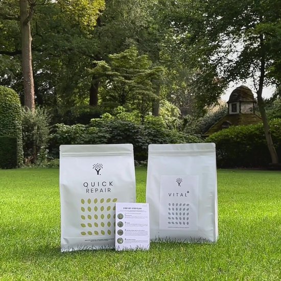 MOOWY Droog Gazon Herstel Kit voor 50m² Gazon - Graszaad en Gazonmest