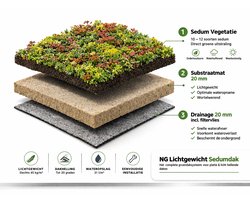 Lichtgewicht Sedumdak Systeem 10 m² – Kant-en-klaar Groendak Pakket voor Plat Dak – Complete Sedum Roof Kit Plug & Play – Modular Green Roof System – Extensive Living Roof Panels incl. Drainage & Substrate – Ready to Install Sedum Roofing Solution