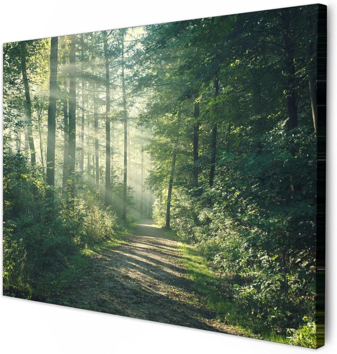 Canvas Schilderij - Wanddecoratie Muurdecoratie - Woonkamer Decoreren - Houten Frame 2cm - 40x30 cm - Groen