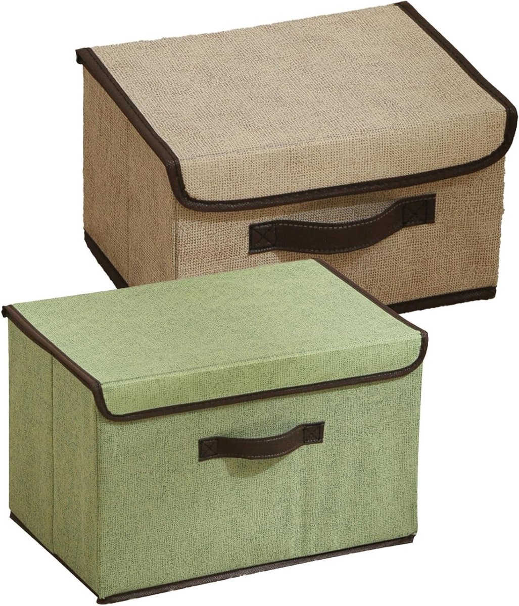 Opbergbakken met Deksel en Handvatten, Set van 2, 27 x 20 x 16 cm, Organiser Box voor Kleding, Opbergdozen voor Kasten en Huishoudelijke Benodigdheden
