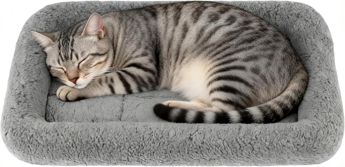 JeiibrZui Pluche Huisdierbed - 56x41 cm - 1 Stuk - Anti-Slip - Grijs - Zacht Kussen voor Kat en Kleine Hond - Ideaal voor Mand en Bench