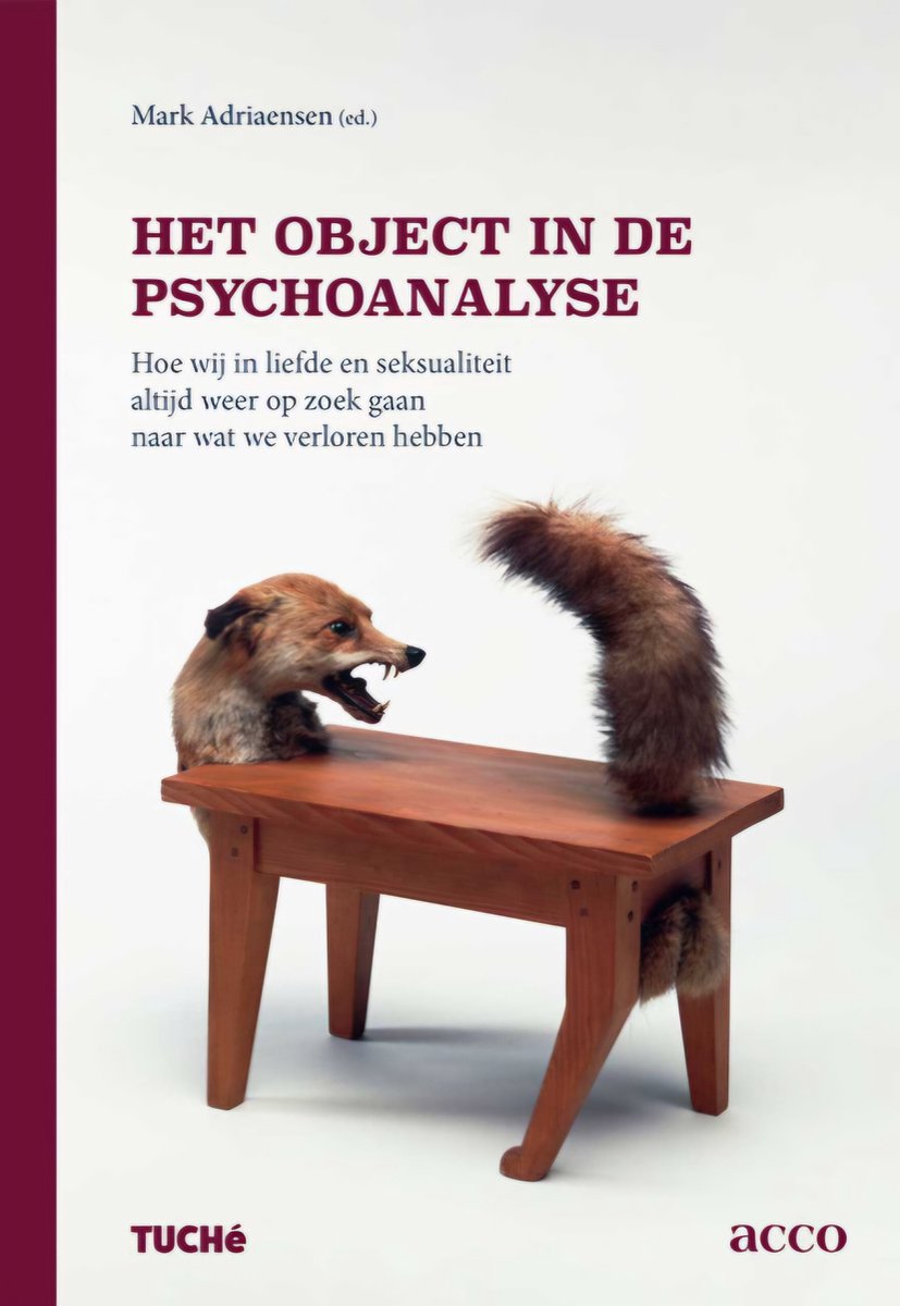 Het Object In De Psychoanalyse