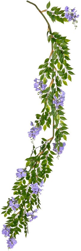 Louis Maes - Glycine de glycine l225cm fleur artificielle lilas Louis Maes
