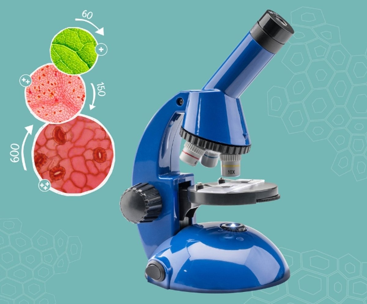 KOSMOS My Discovery Microscope - Microscoop voor Kinderen - Tot 600x Vergroting - Inclusief Preparatieset en LED-Verlichting - Ontdek de Microscopische Wereld - STEM Speelgoed - Vanaf 8 Jaar — afbeelding 3