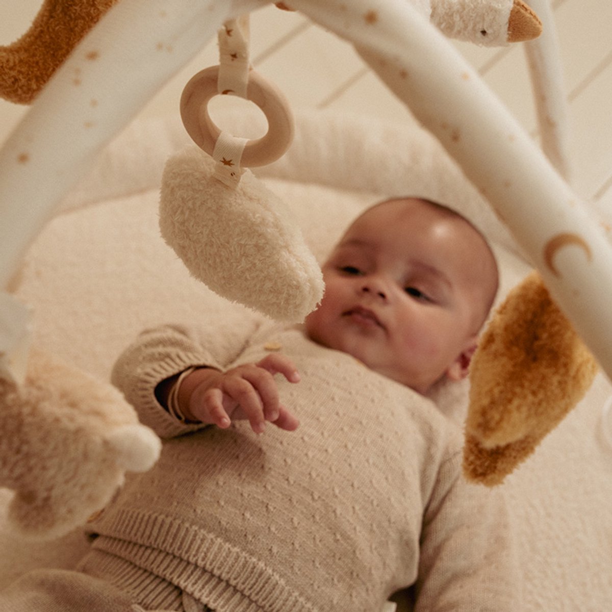 Little Dutch Newborn Naturals Activiteiten Speelkleed thumbnail 4