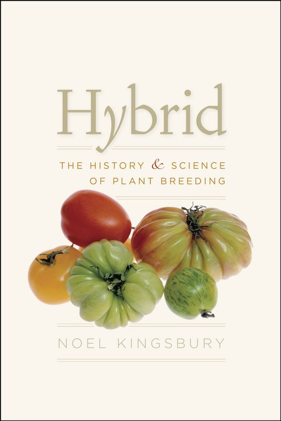 Hybrid - cover