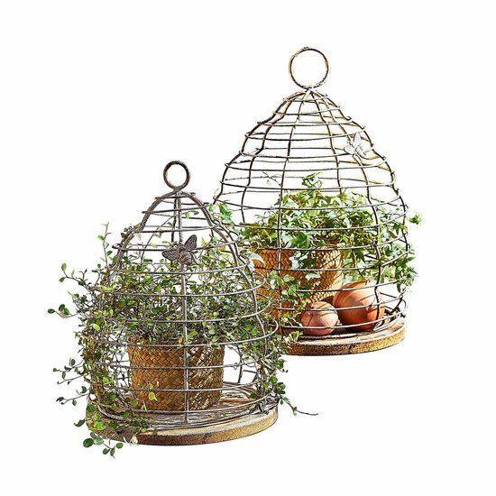 Plantensteunen 5 st met 3 ringen 60 cm staal groen