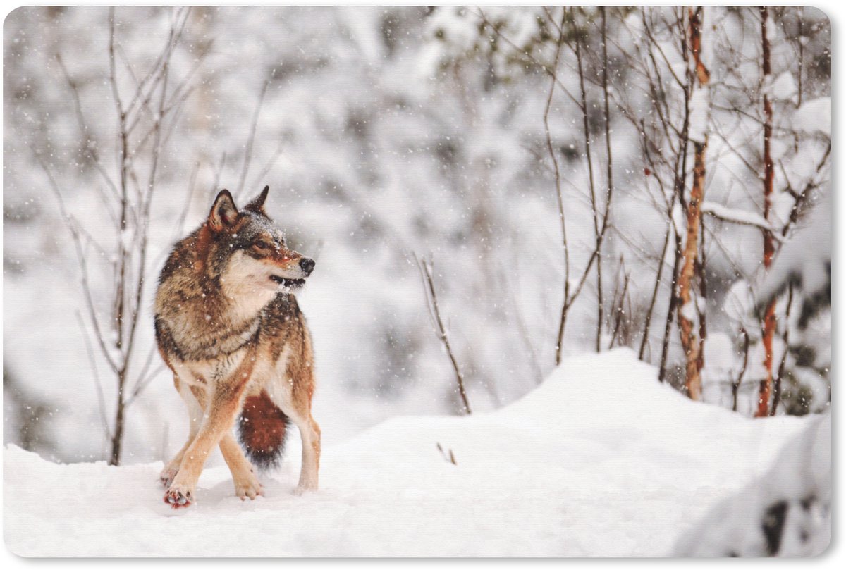 Muismat XXL 90x60 cm - Bureau onderlegger - Bureau mat Wolf - Winter - Sneeuw - Natuur - Dieren - Bureaumat - Gaming mousepad xl - Bureaulegger groot - Computer deskmat