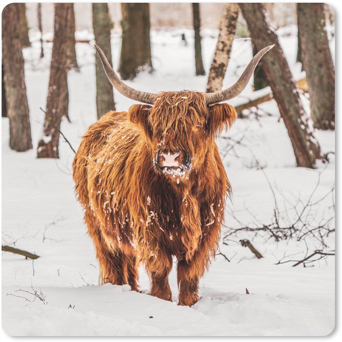 Muismat 20x20 cm - Mousepad Schotse Hooglander - Sneeuw - Winter - Natuur - Dieren - Muismatten