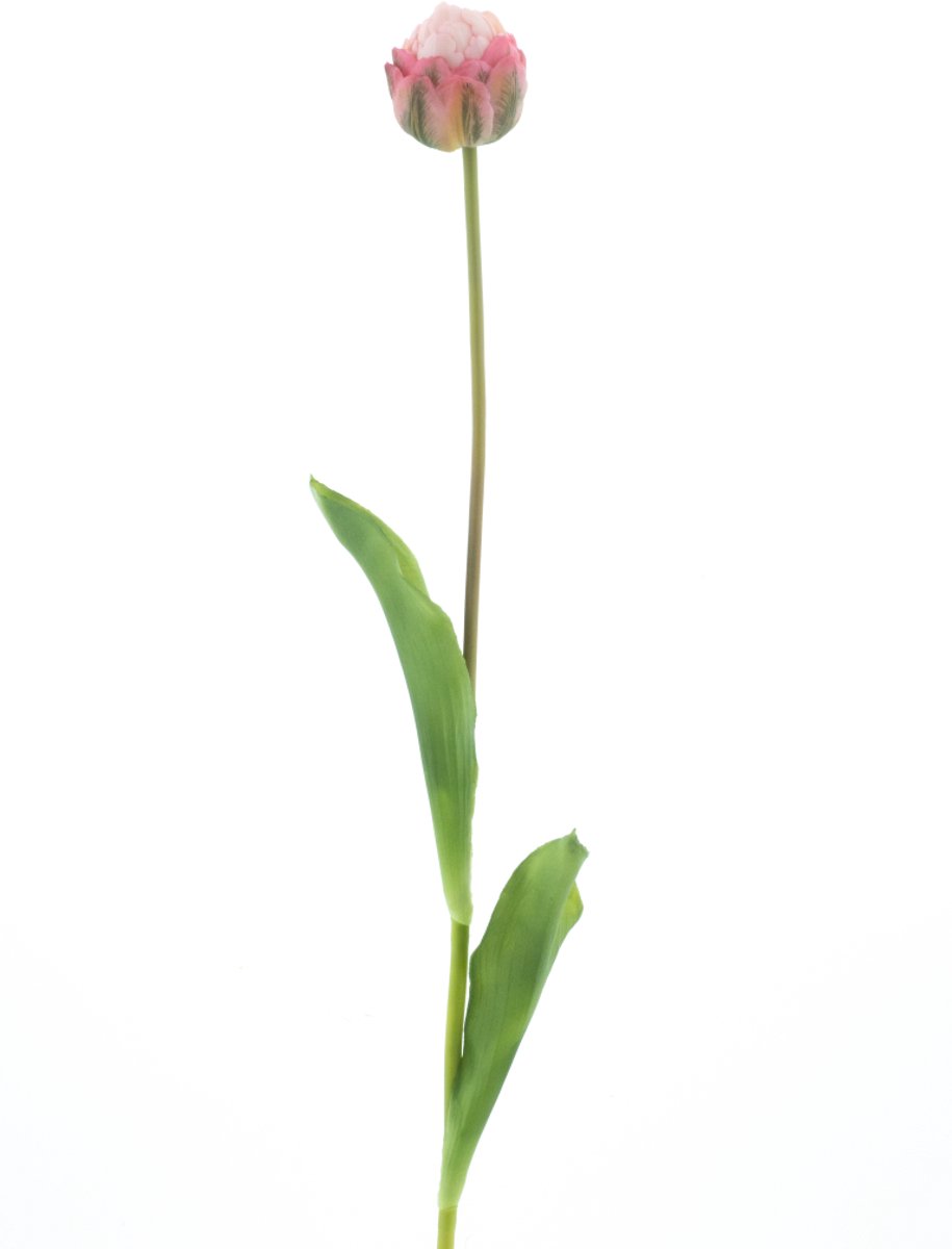 Nova nature - PSO Tulip spray Paris Sally pink 79 cm kunstbloem