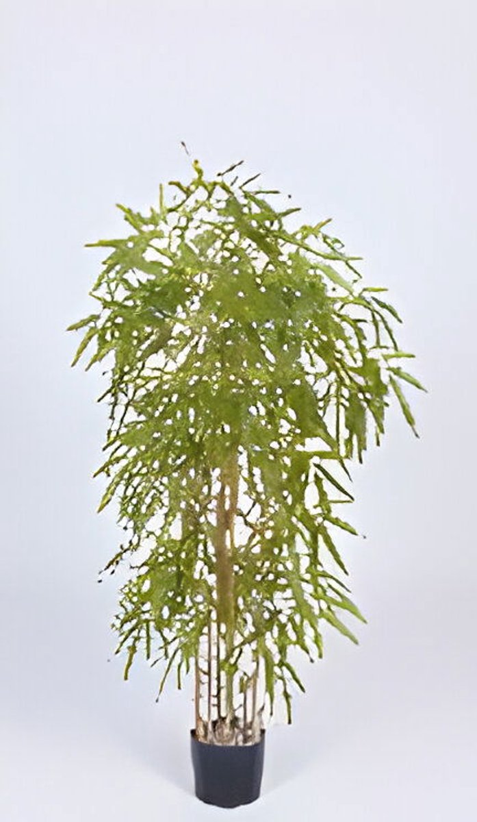 Oosterik home - Chinese bamboo 120 cm kunstplant Oosterik Home
