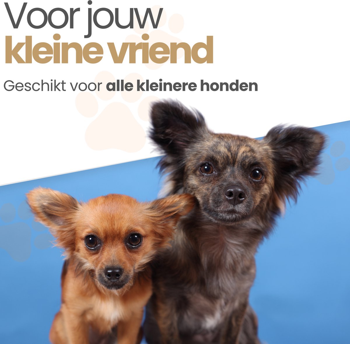 Dogs&Co® Zwemvest voor honden HAAI Ruglengte 33cm Borstomvang 54 - 64cm - reddingsvest - zwemondersteuning voor honden — afbeelding 3