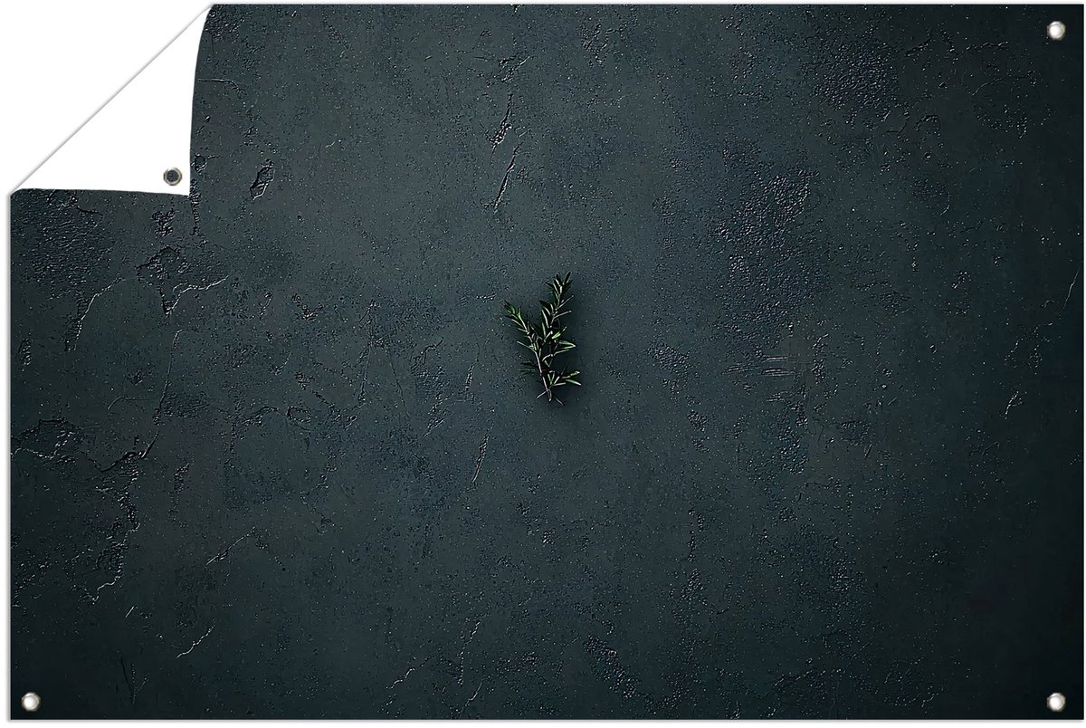 Donker minimalistisch takje ontwerp - Planten tuindecoratie - Tuinmuurdecoratie takje - Mi