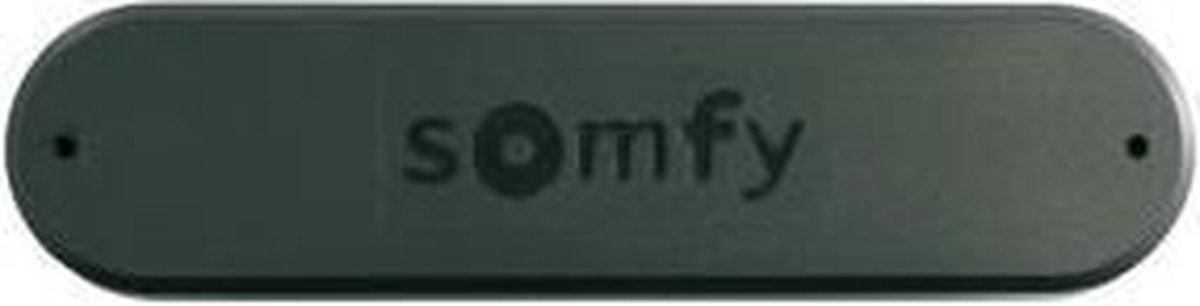 Capteur de vent Somfy Eolis 3D Wirefree RTS | bol.com