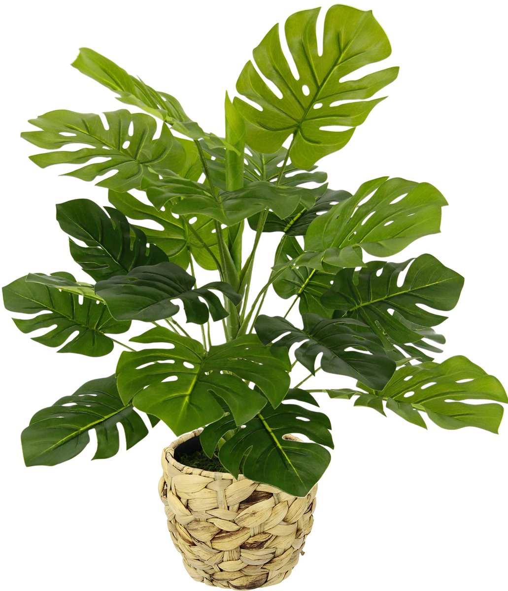 Ibenzoa Realistisch Uitziende Kunstmatige Monstera Plant voor Binnenhuisdecoratie met Pot groen