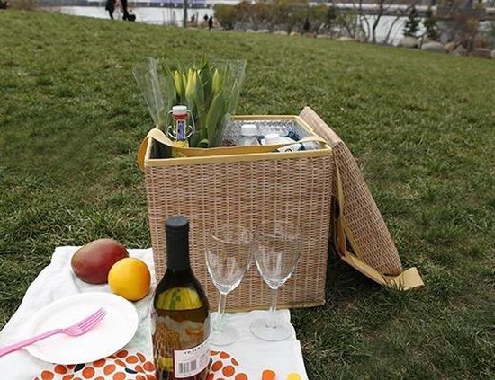 Kikkerland Wicker Picnick Cooler Bag & Chair