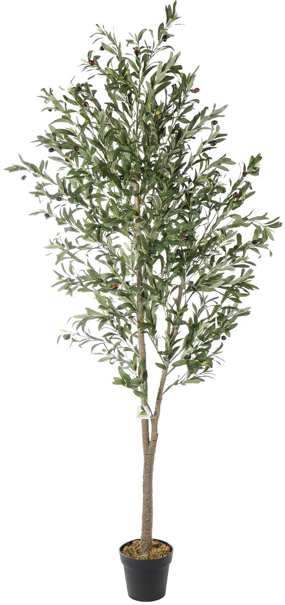 Kunstpalm Kunst Olijfboom | 210cm | Grote kunstplant - Premium Nep olijfboom - Valse olijfboom met olijven - Kunstolijfboom Donkergroen