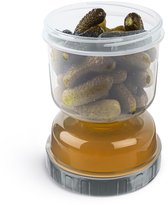 WhiteRhino Augurkpot, glazen voedselcontainers met zeef, zandloperbestendige deksels, flip olijf voor keukenopslag, ondersteboven augurk, Kimchi-pot, lekvrije luchtdichte deksels koelkast (helder