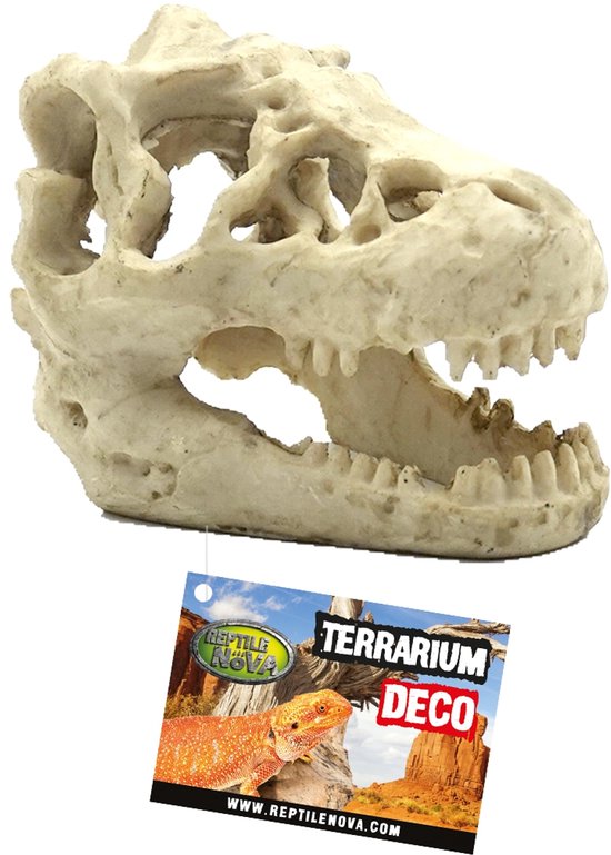 Dinosaurus Schedel Gedeeltelijk skelet - Tyrannosaurus rex - Catawiki