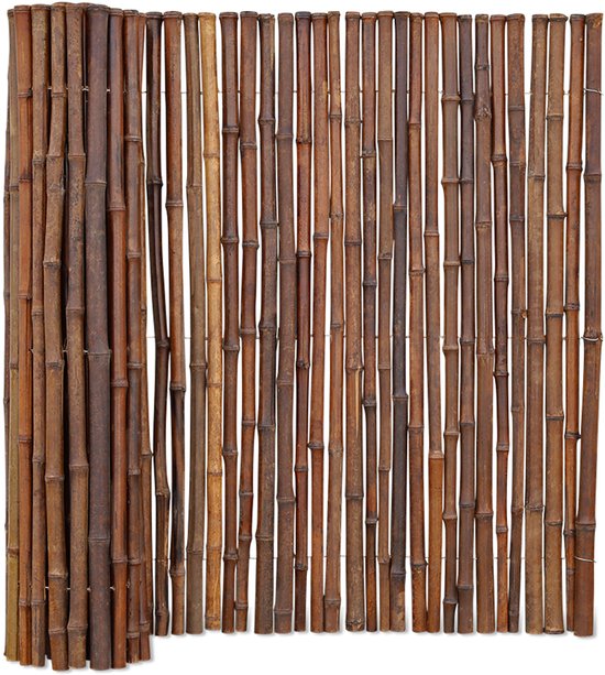 Bamboo