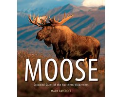 Moose