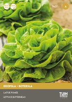 Kropsla Appia Zaden – Botersla met Grote Gesloten Kroppen – Snelgroeiend & Traagschietend – Voorjaar & Herfst – ±375 Zaden – Tuin de Bruijn