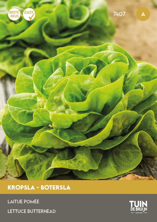 Tuin de Bruijn® zaden – Kropsla, Botersla Appia