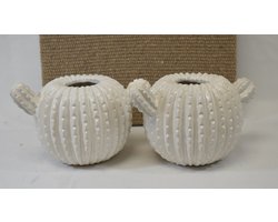 ZoeZo Design - 2 stuks - vaas - cactus - wit - aardewerk - H10 x Ø 12 cm x br 17 cm - vaasjes - 2 stuks