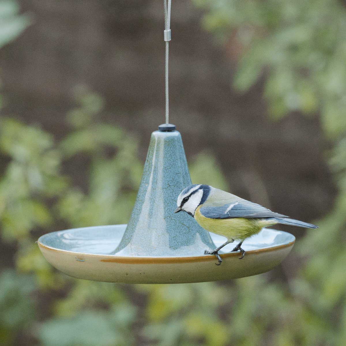 CJ Wildlife Vogeldrinkschaal voor Tuinvogels van C J Wildlife — cadeau in Wonen & Interieur - foto 4