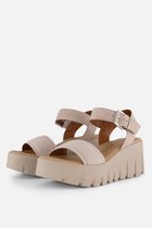 Tamaris Sandale Femme 1-28712-42 378 Taille : 42 EU